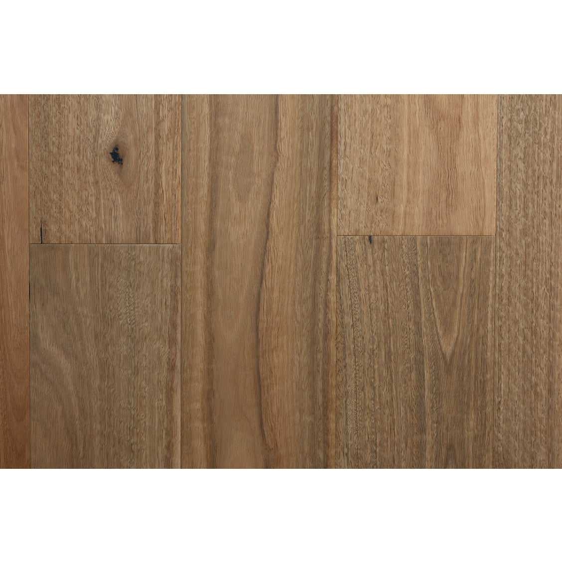 SG 2405 – 136 Spotted Gum