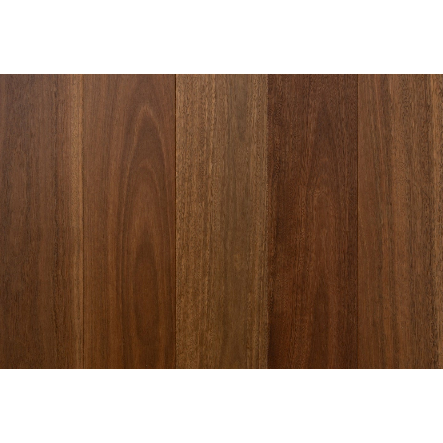 A03 Spotted Gum