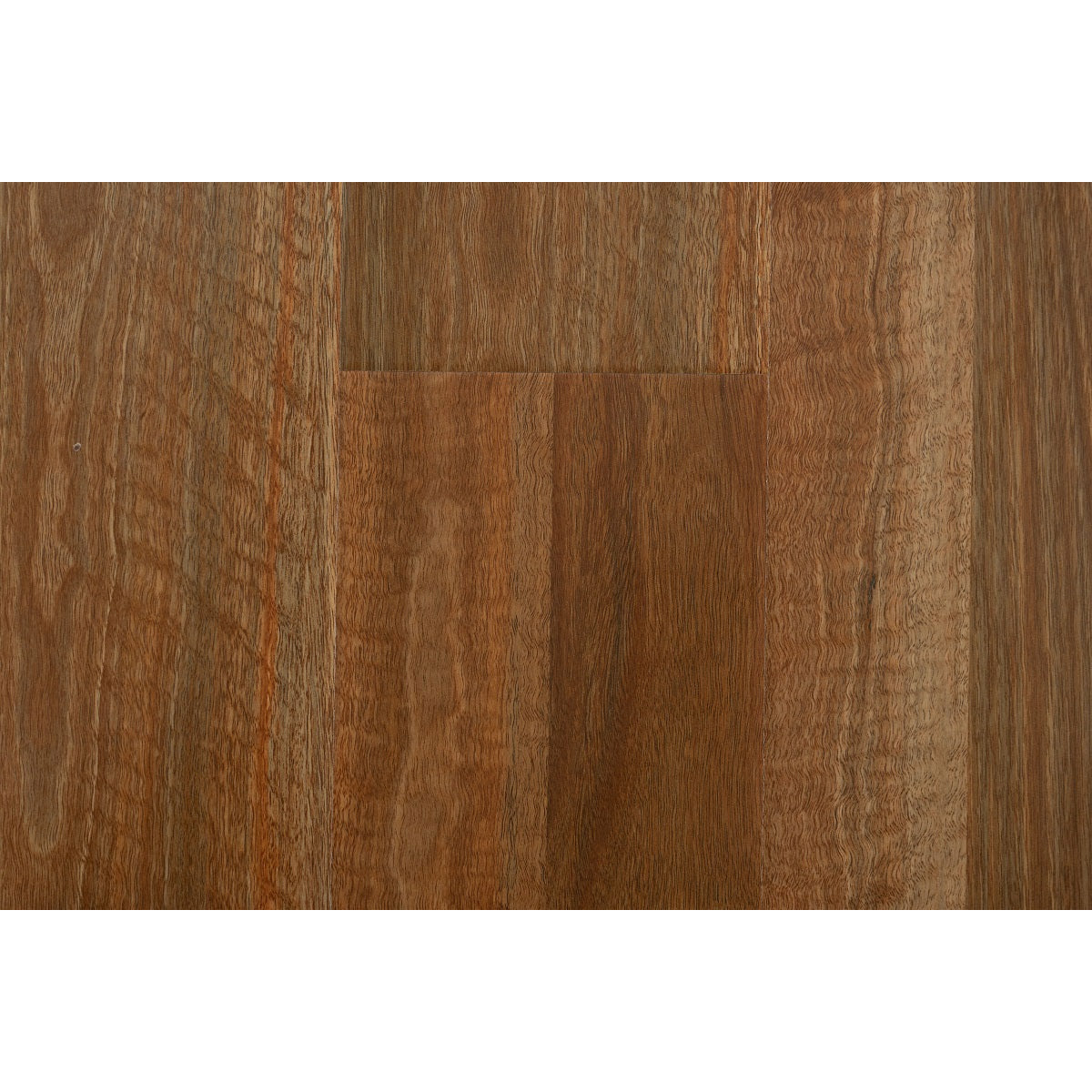 BF8922 Spotted Gum