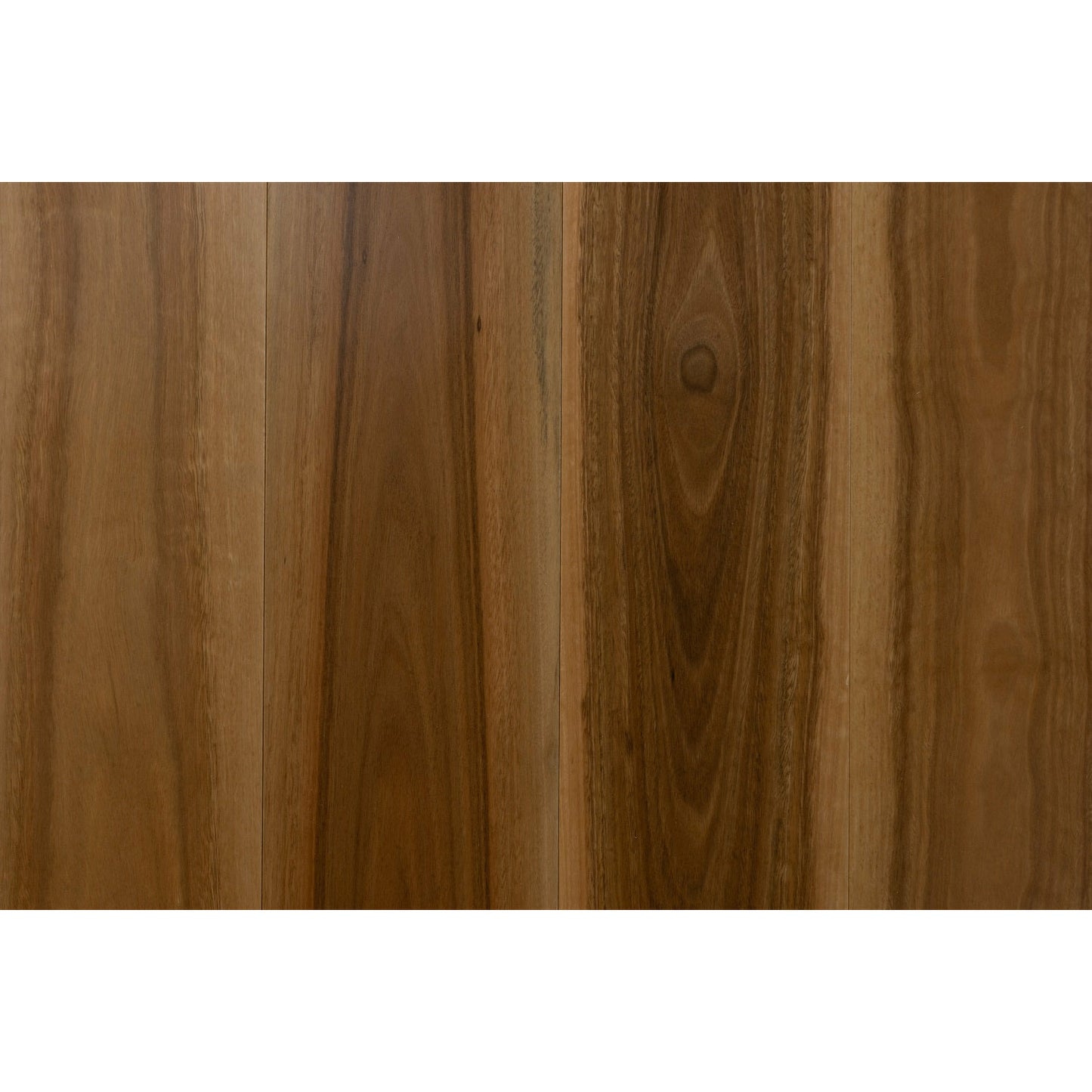 SG1801 Spotted Gum