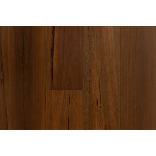 SG1833-190 Spotted Gum