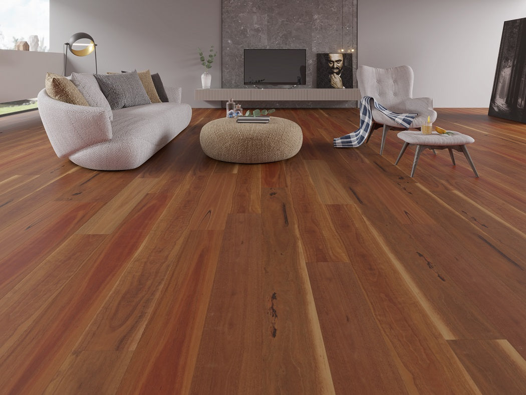 V53 Spotted Gum