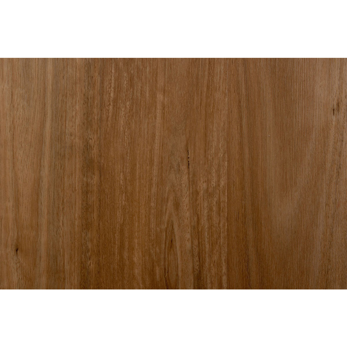 OV03 Spotted Gum