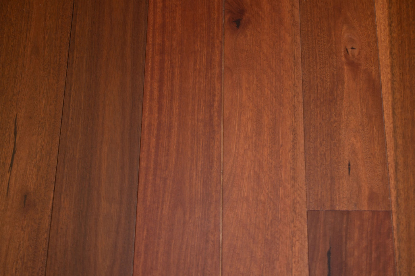 A035 Spotted Gum (Luxury Red Coating)